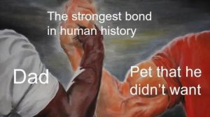 Stupid Bar Memes youresthesdad