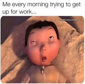 Stupid Bar Memes youreswakingsup