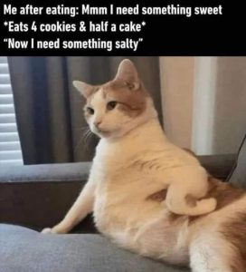 Stupid Bar Memes youreswantingsfood