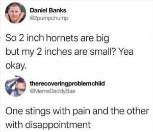 Stupid Bar Memes youreswantingshornets
