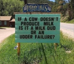 Stupid Bar Memes youreswantingsthesjokes