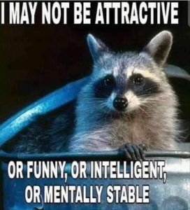 Stupid Bar Memes youreswatchingsthesanimalss1