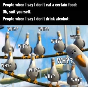Stupid Bar Memes youreswonderingswhy