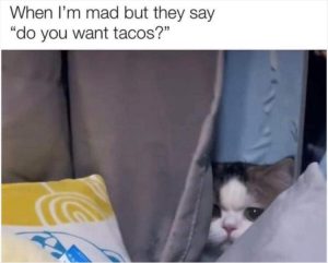 Stupid Bar Memes youresyous1