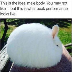 Stupid Bar Memes youresyousnows3