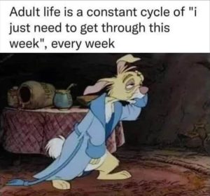 Stupid Bar Memes zs3funs329s33
