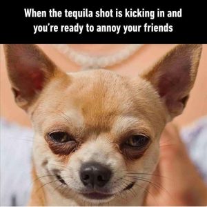 Stupid Bar Memes zsfunnys82s1