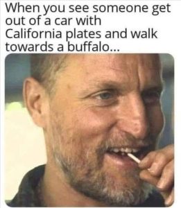 Stupid Bar Memes zsfuns101