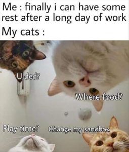 Stupid Bar Memes zsfuns120s3