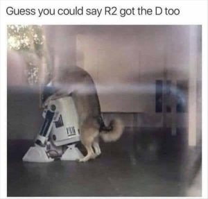 Stupid Bar Memes zsfuns20