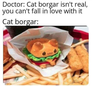 Stupid Bar Memes zsfuns24