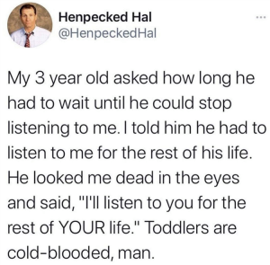 Stupid Bar Memes zsfuns37