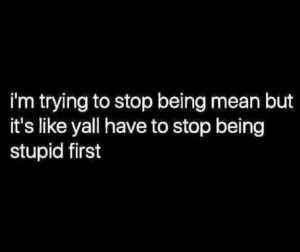 Stupid Bar Memes zsfuns7s1