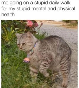 Stupid Bar Memes zsfuns85