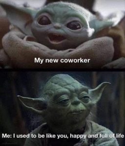 Stupid Bar Memes zsmemerss101