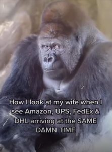 Stupid Bar Memes zsmemerss92