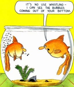 Stupid Bar Memes 017c30d34c1f6eaf