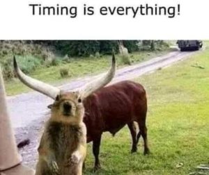 Stupid Bar Memes 03ac38d70e47a851