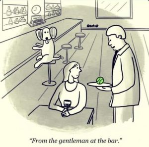 Stupid Bar Memes 1fe82a594c46f684