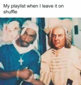 Stupid Bar Memes 21377ca4128261d7
