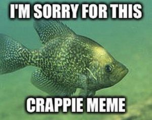 Stupid Bar Memes 22236dc4c32f1fa6