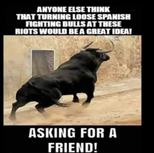 Stupid Bar Memes 331989529dd1a683