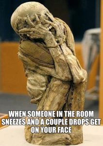 Stupid Bar Memes 33d427ebc3ff11c5