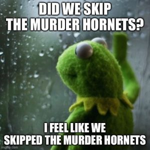 Stupid Bar Memes 42e2683535156b36