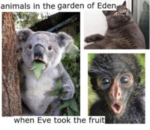 Stupid Bar Memes 47090524meme.jpegs618x535