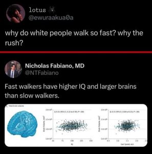 Stupid Bar Memes 49c72081706ab006