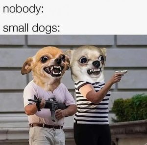 Stupid Bar Memes 4a180b962f5ffff8