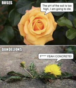 Stupid Bar Memes 4c9abbfccfe4950f
