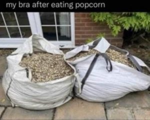 Stupid Bar Memes 4ded06509ba253a2