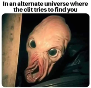 Stupid Bar Memes 663a3c2e3a910