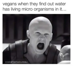 Stupid Bar Memes 67f539eds157es4be8sae9ds6d951c5eccb9