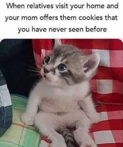 Stupid Bar Memes 70388cfcbc860496