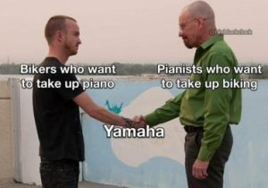 Stupid Bar Memes 7220352f88b34ab9