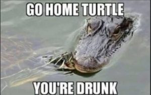 Stupid Bar Memes 76bbb0493a9699c2