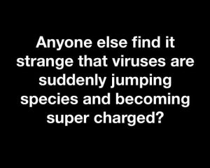 Stupid Bar Memes 796ba7f394ecebfa
