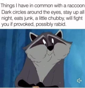 Stupid Bar Memes 7e7920779be2a313