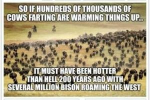 Stupid Bar Memes 7efff10b296ad300