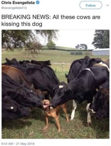 Stupid Bar Memes 8090524meme.jpegs618x813