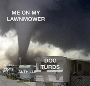Stupid Bar Memes 9446932175f65c5b