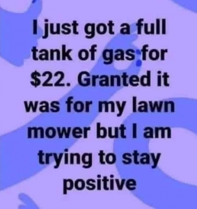 Stupid Bar Memes 960674824a1dd4e5