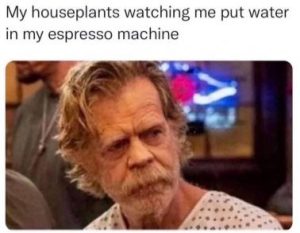 Stupid Bar Memes 980585adb177c70f