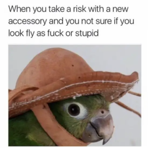Stupid Bar Memes 9E77kPM