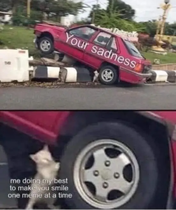 Stupid Bar Memes DvAnDoq