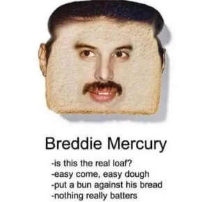 Stupid Bar Memes FVWPU6Z