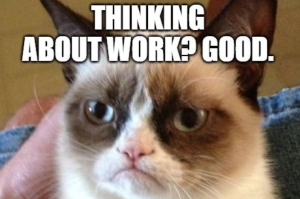 Stupid Bar Memes GrumpysCatsatsworks1