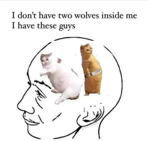 Stupid Bar Memes Jf67ebA